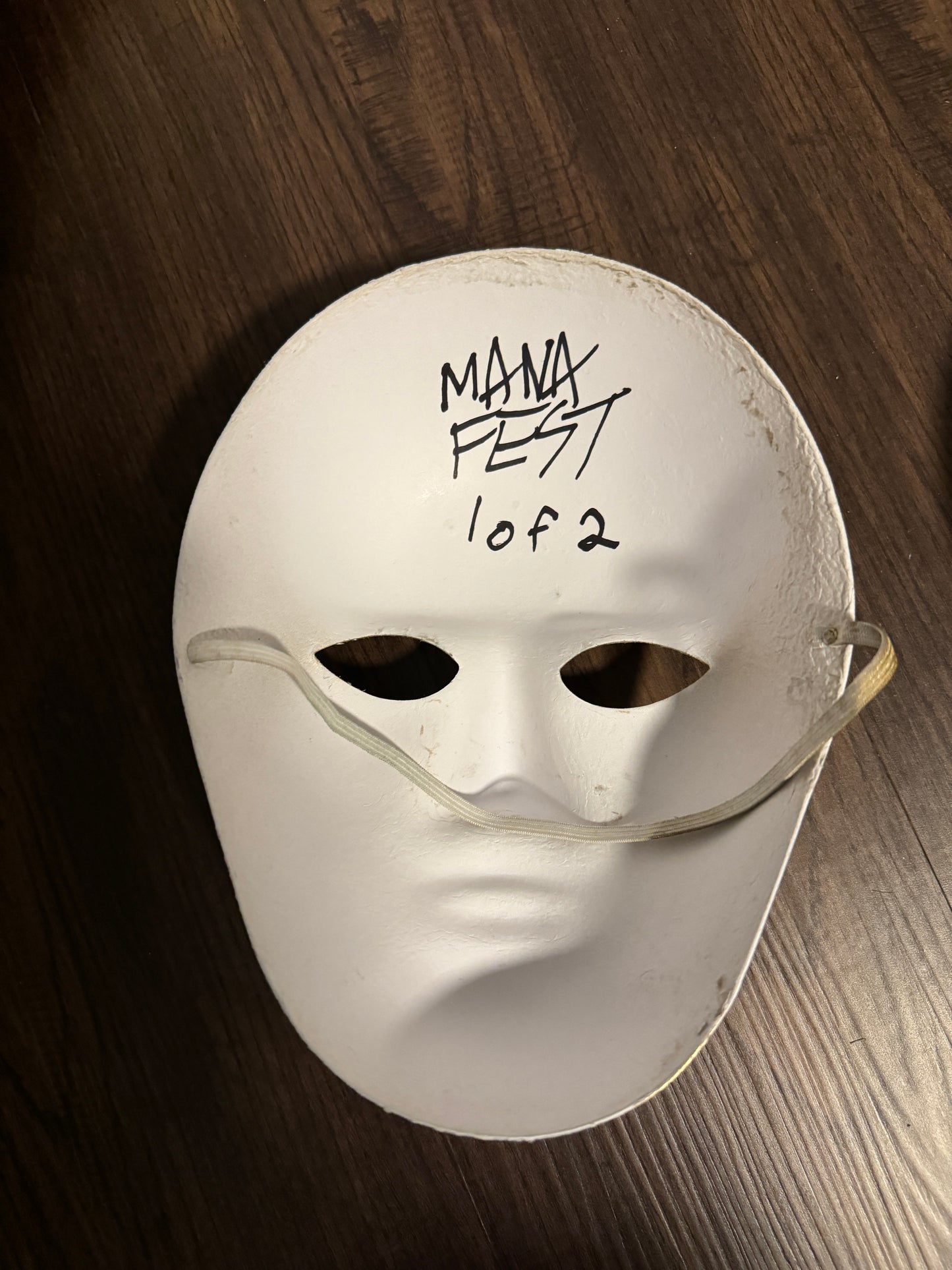 Autographed Gold painted Masks (Cleanin Out My Closet Music Video)