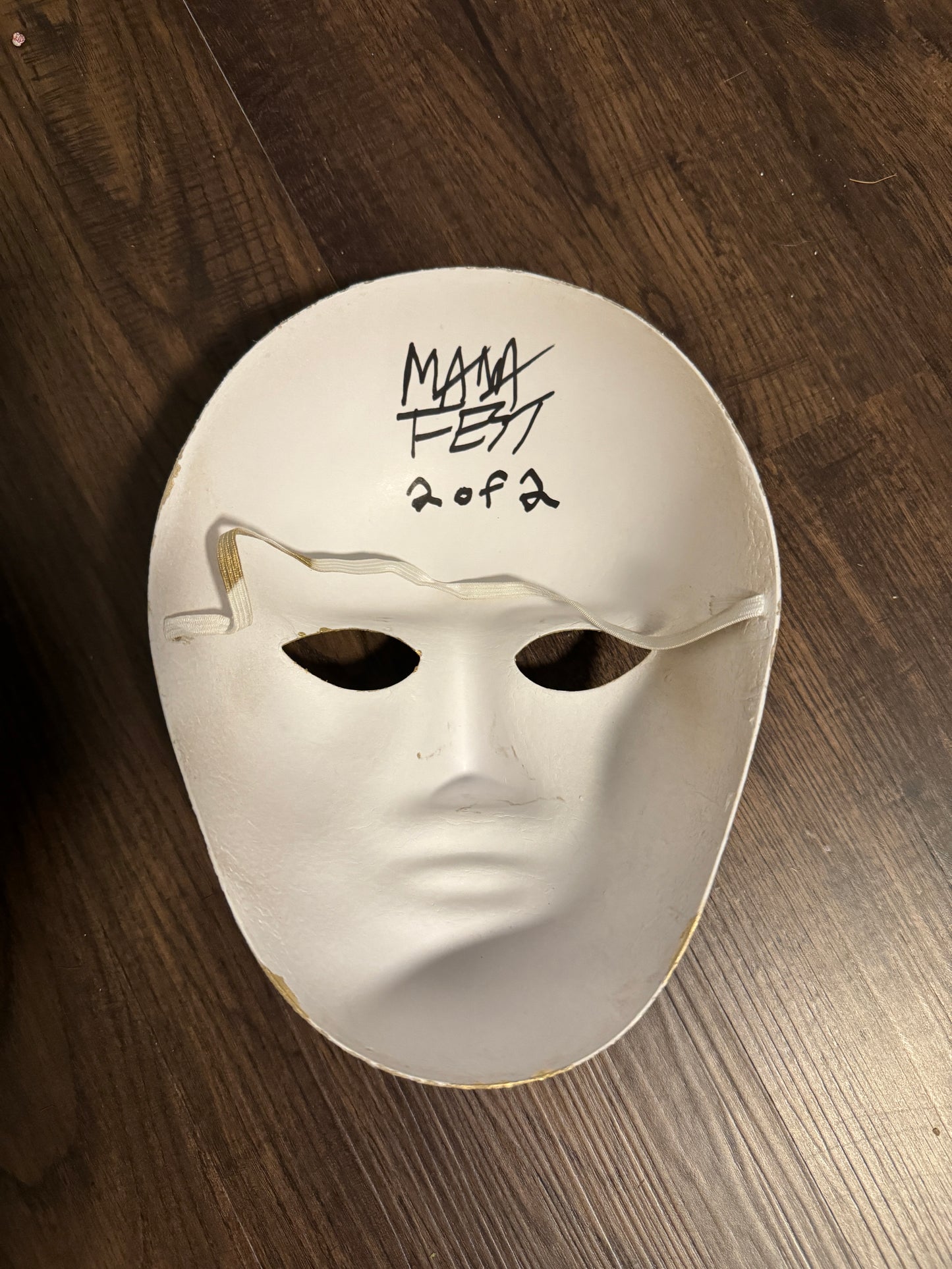 Autographed Gold painted Masks (Cleanin Out My Closet Music Video)